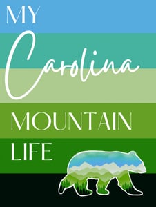 My Carolina Mountain Life