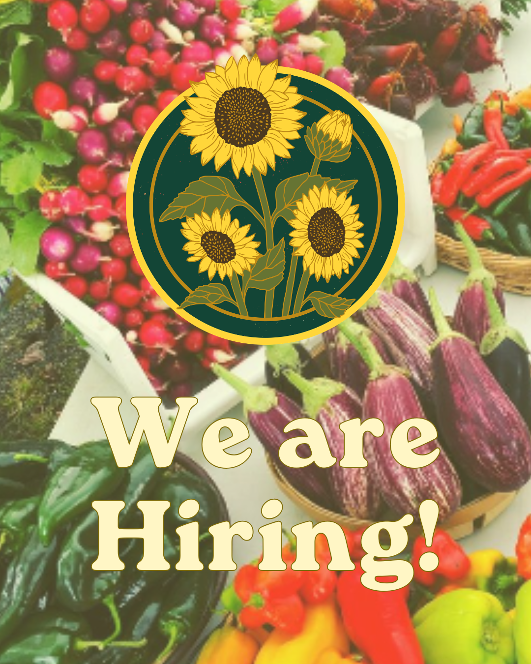 We Are Hiring!